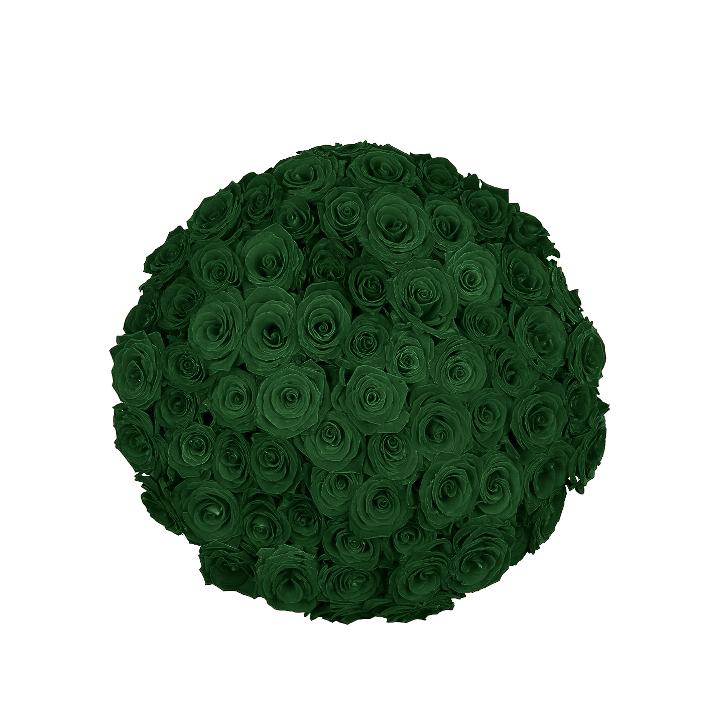 A vibrant Harvest Green Rose Bouquet by GiftedFLWR, showcasing the beauty of nature with stunning green roses. Impeccable petals and lush foliage create a captivating ensemble, perfect for expressing well wishes, gratitude, or bringing a touch of nature indoors. A harmonious composition that radiates natural beauty and elegance, making it an ideal gift to brighten someone's day.