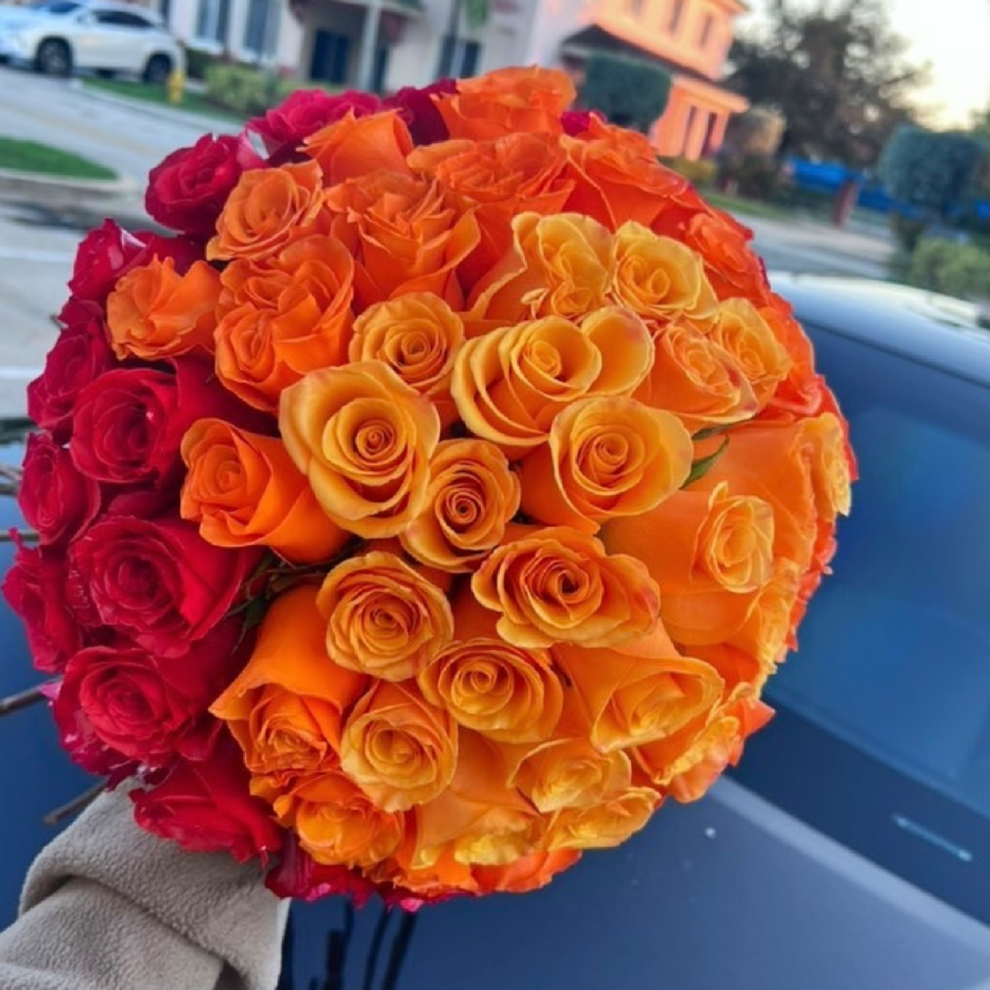 A Picture of Orange Roses