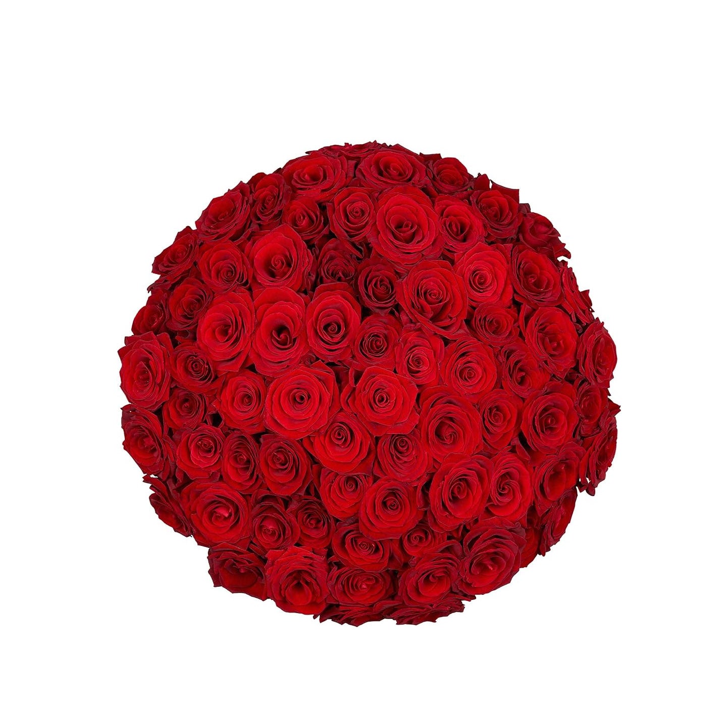 A stunning Red Rose Bouquet by GiftedFLWR, featuring velvety petals and rich red hues, symbolizing passion and romance. Impeccable composition with lush greenery, making it an iconic choice for expressing love and affection on special occasions.